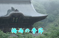 E~J̋G