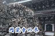 ~oE~i