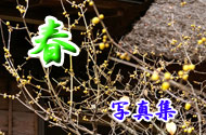 qEti